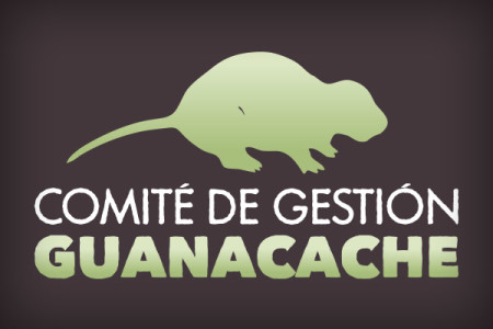 Comité de Gestión Guanacache • Diseño de marca